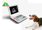 Analizzatore veterinario pieno portatile di ultrasuono di Digital per l'animale del cane di gracchio del bestiame fornitore