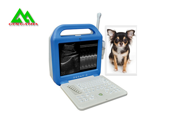 Porcellana Analizzatore veterinario pieno portatile di ultrasuono di Digital per l'animale del cane di gracchio del bestiame fornitore